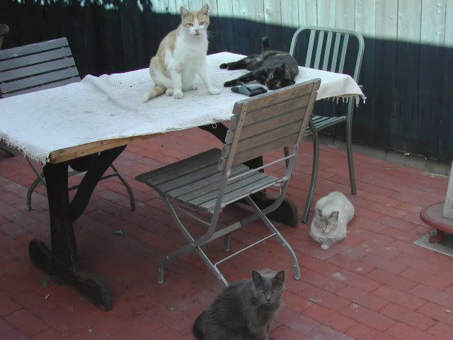 Photo Sharing and Video Hosting at Photobucket