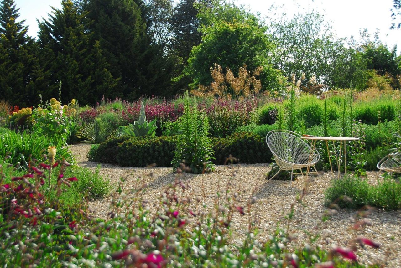  photo wonderfully-laid-out-drifts-with-tall-stipa-gigantea-in-the-background-photo-michael-mccoy.jpg