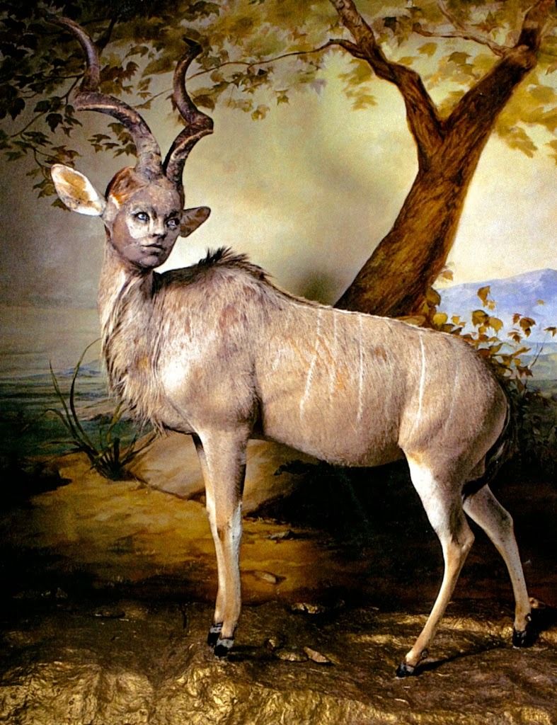  photo kudu 1.jpg