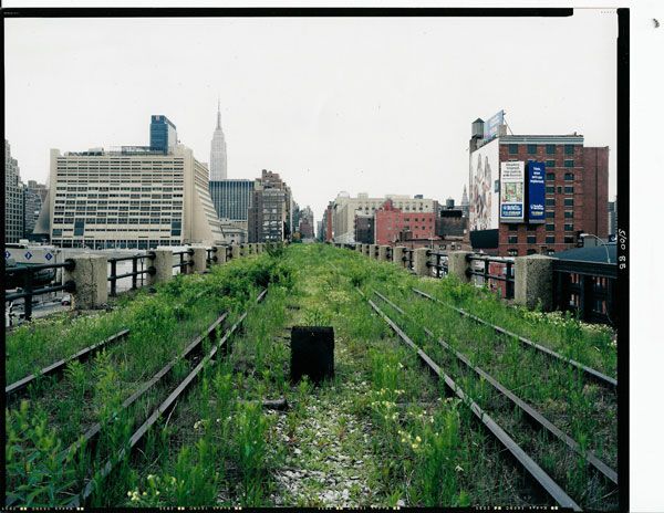  photo highline_original2.jpg