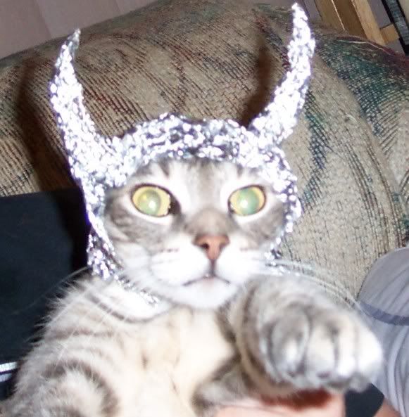 catInTinfoil.jpg