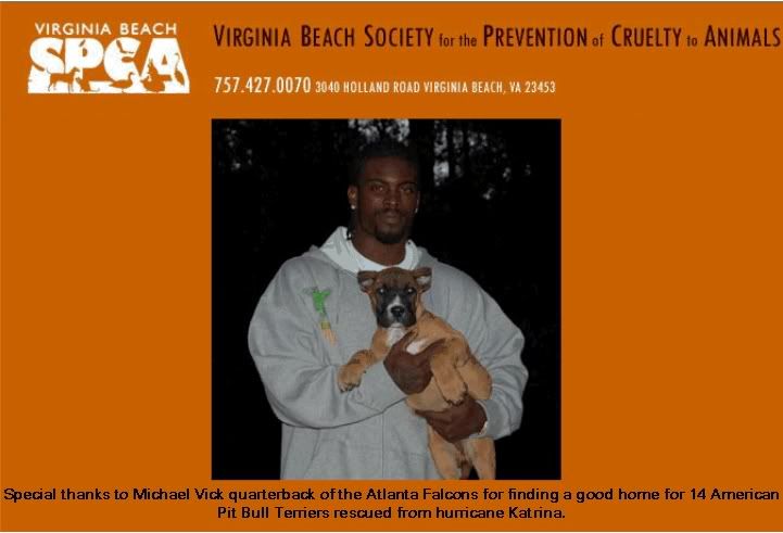 vick.jpg