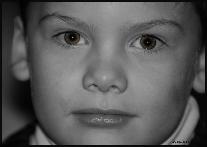 IMAGE: http://i52.photobucket.com/albums/g27/Stiansen/Robin.jpg