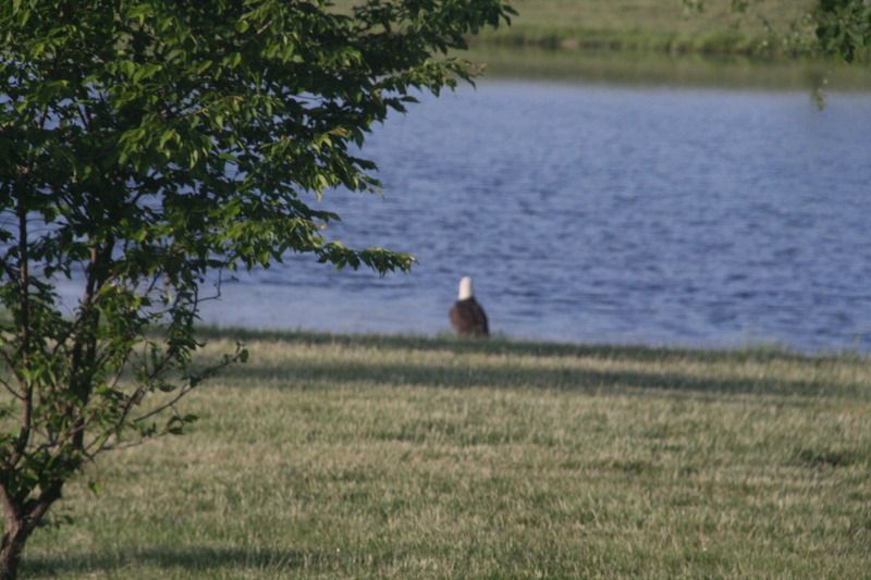 140520072159001.jpg
