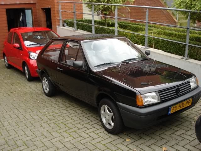 Polo640x480.jpg