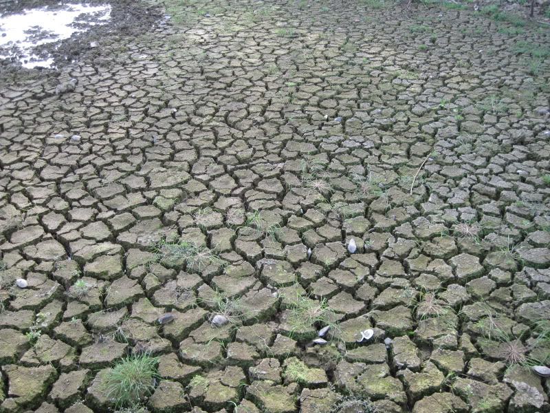 drought photo: kodakpics370.jpg