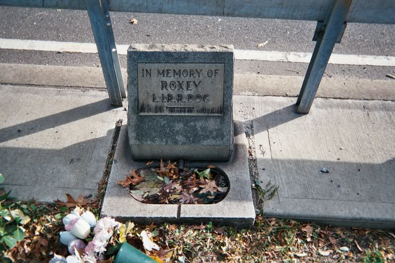 Roxy the Long Island Railroad Dog