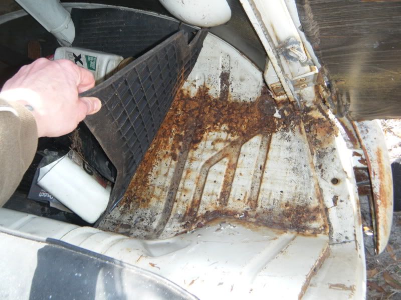 Image may have been reduced in size. Click image to view fullscreen.