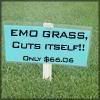 emo Pictures, Images and Photos