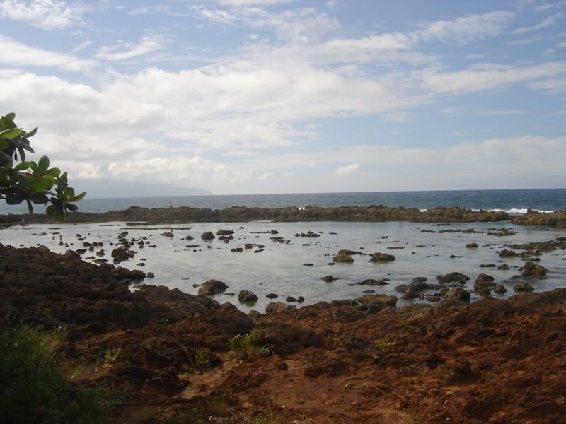 sha-shahawaii2007.jpg