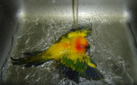 mangobath.jpg