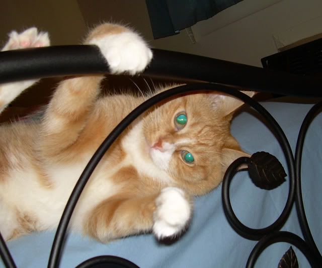 Hi!