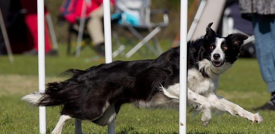 IMAGE: http://i52.photobucket.com/albums/g38/geordieamanda/09e15101.jpg