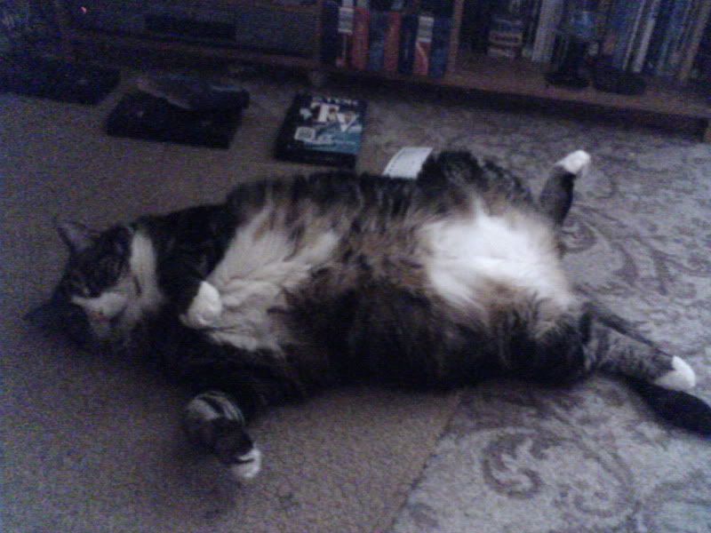 050727_175141.jpg