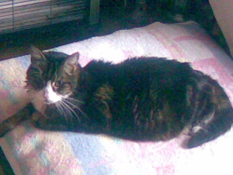 Image0012.jpg