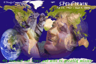 getmsg6steveerwin.gif