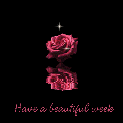 weekpic.gif