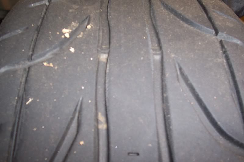 [Image: 100_0545.jpg]