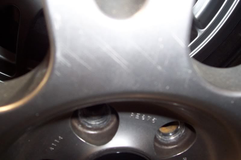 [Image: 100_0552.jpg]