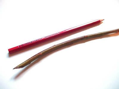 willow brooch, step 1, how to make a brooch