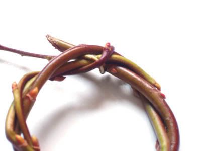 willow brooch, step 8, how to make a brooch