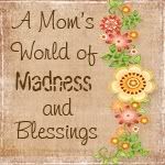 A Mom's World of Madness and Blessings