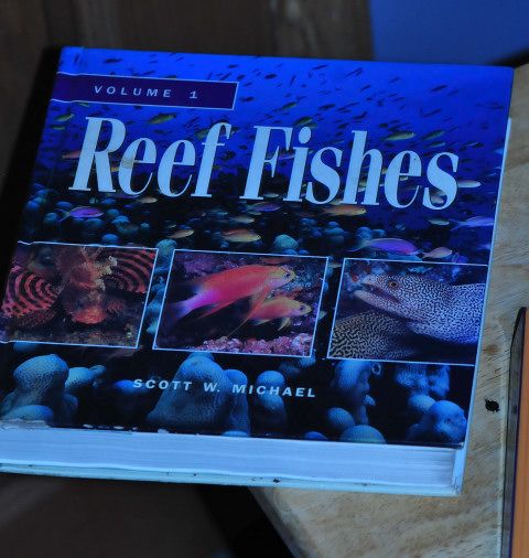 tank20004 2 - Reefing books