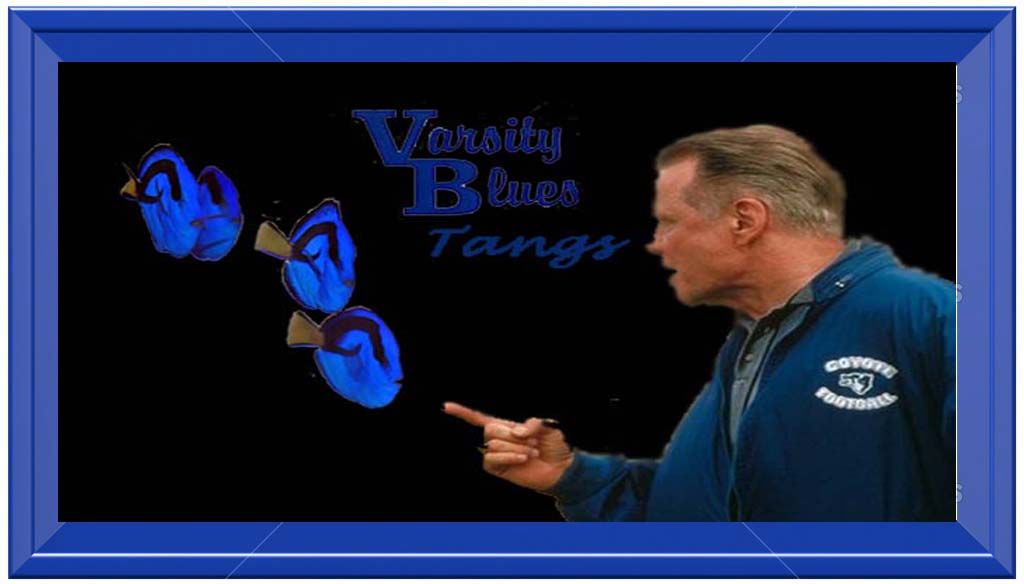 bluetangpic - Varsity Blues Photo Contest sponsored by The Blue Glow