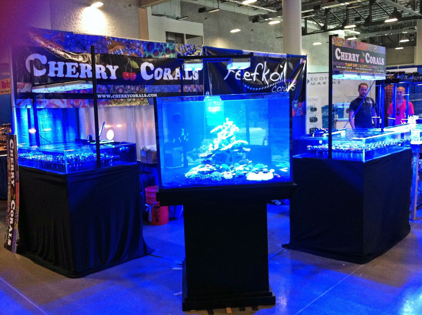 photo 1 - Cherry Corals all most set up for MACNA
