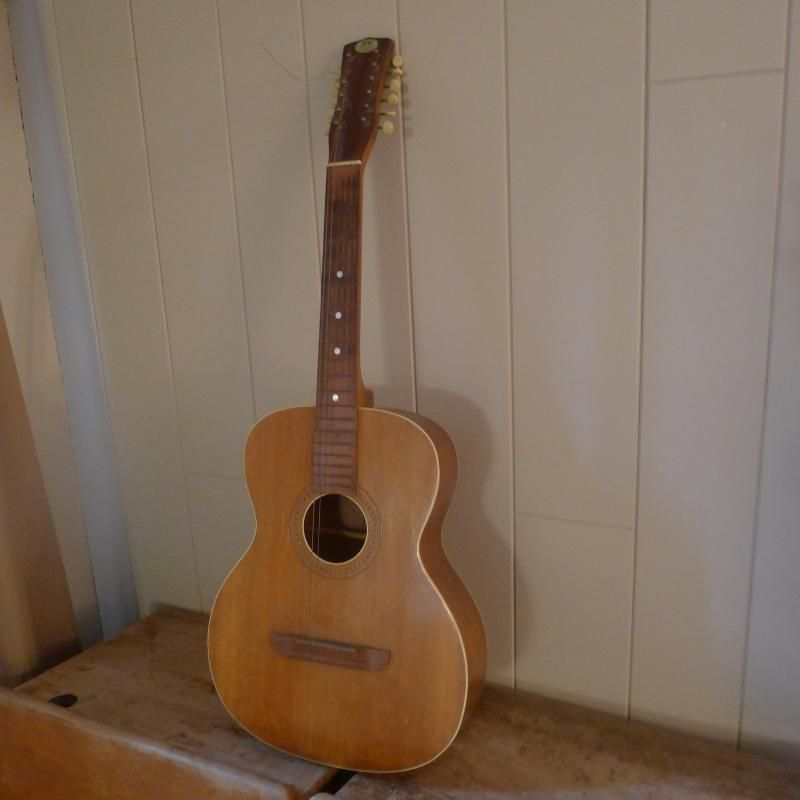 Regal12String003_zps25008284.jpg