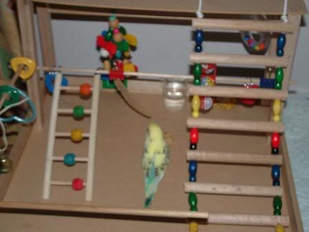 stumpyplaygym_450x337.jpg