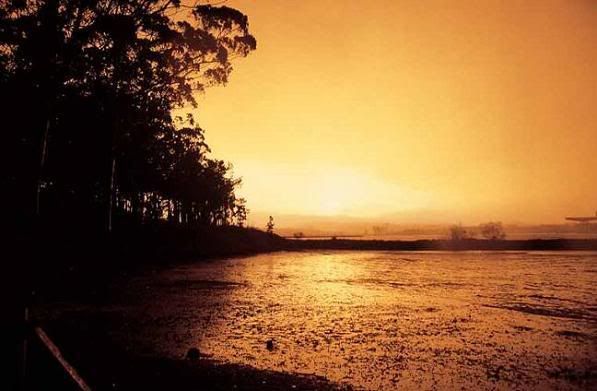 Foto al atardecer donde se aprecia el valor medioambiental de la Isla-Photo Sharing and Video Hosting at Photobucket