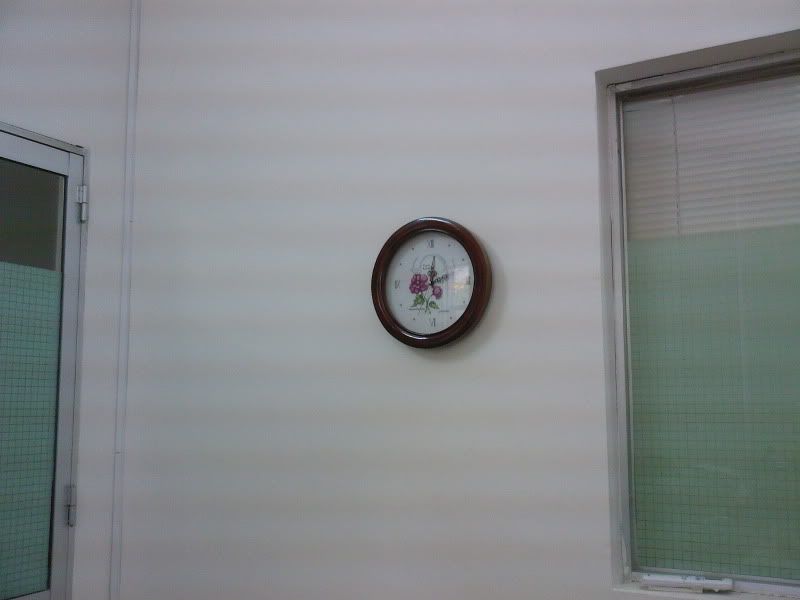 SP_A0488.jpg pansy clock-corner picture by muadongxukhac
