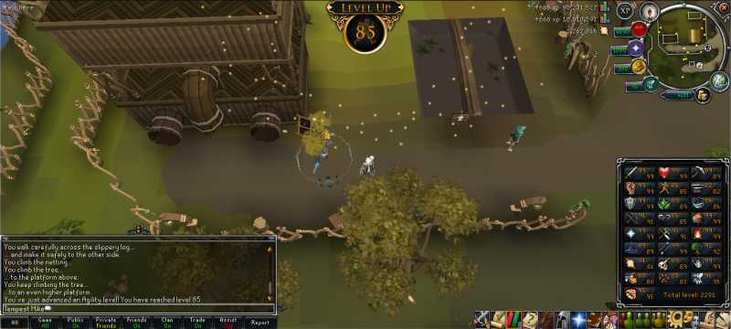85agility.png