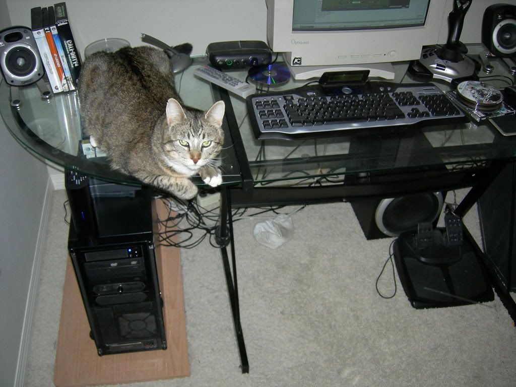 Preview image for a collapsed post.