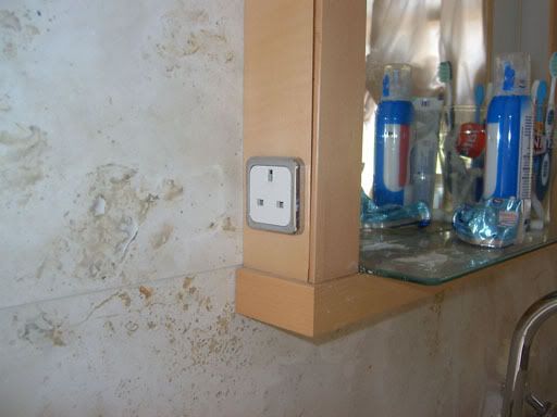 BathroomSocketII.jpg