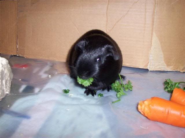 100_2378Small.jpg