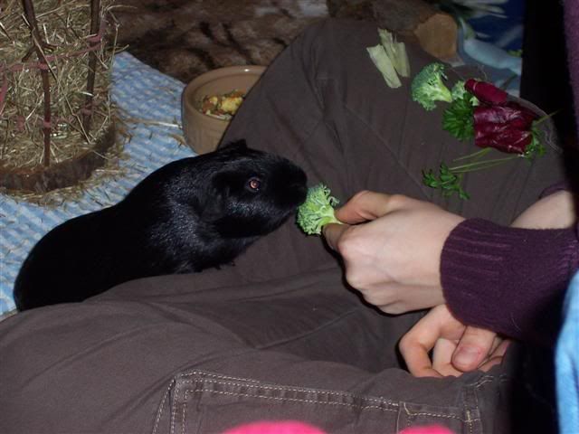 100_2548Small.jpg