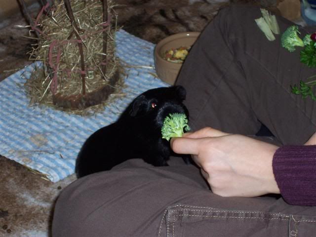 100_2549Small.jpg