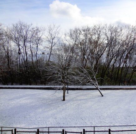  photo First Snowfall 2019 by Chris Sorrenti RED150.jpg
