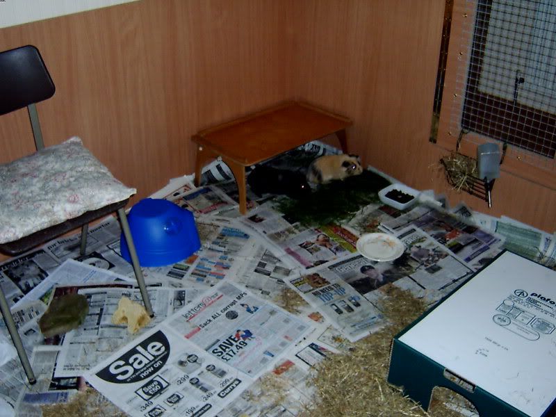 2009-08-31RumballandFudgee.jpg