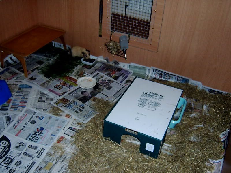 2009-08-31RumballandFudgef.jpg
