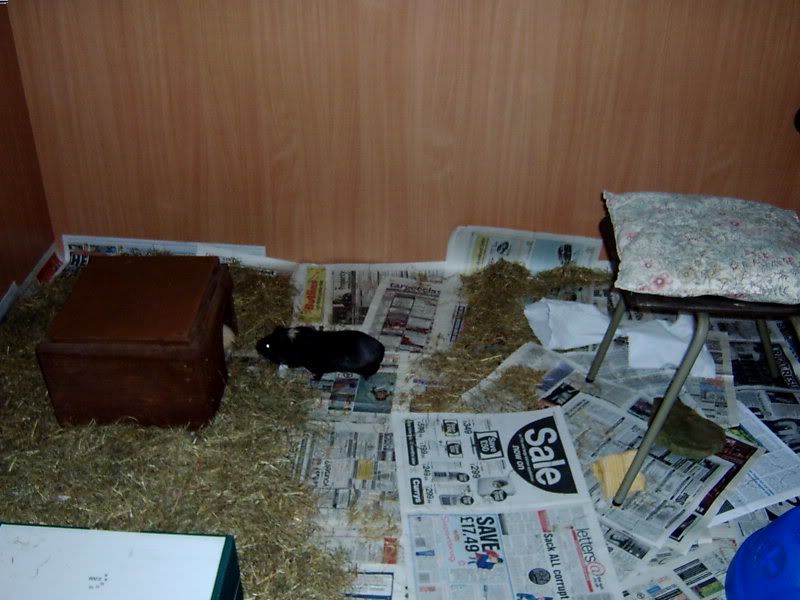 2009-08-31RumballandFudgeg.jpg