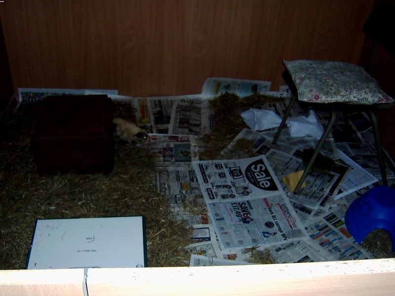 2009-08-31RumballandFudgeh.jpg