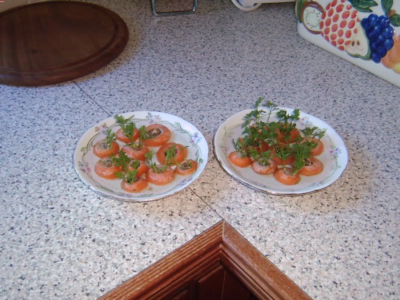 2010-05-05carrottops.jpg