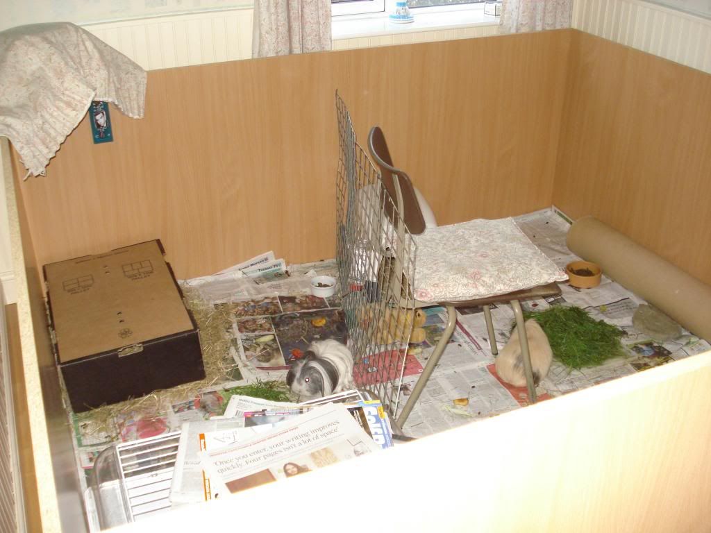 070_zpsfe1c62b0.jpg