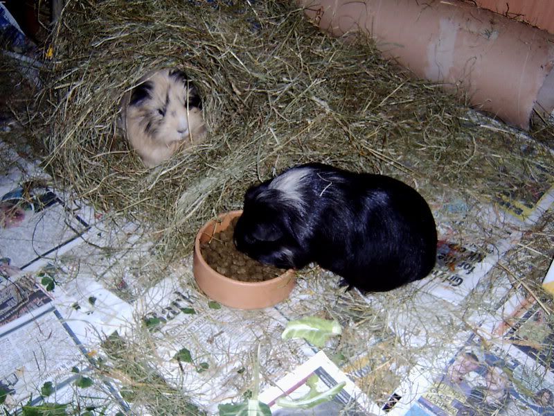 2010-09-21b.jpg
