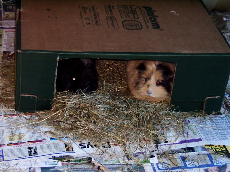2012-02-26a.jpg