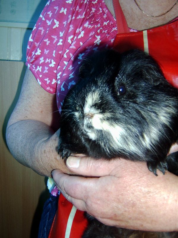 2012-06-30snottynoseb.jpg