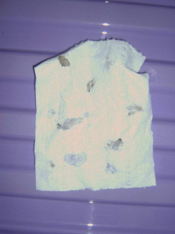 2012-09-17c.jpg